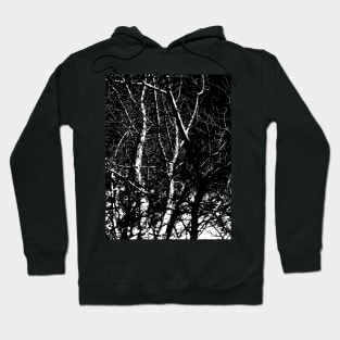 Winter trees bare branches black and white Hoodie